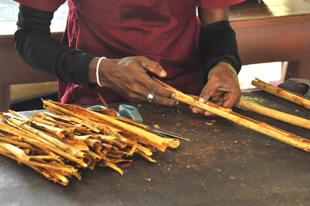 Traditional Cinnamon Industry Experience