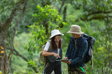 Professional tour guides with local expertise