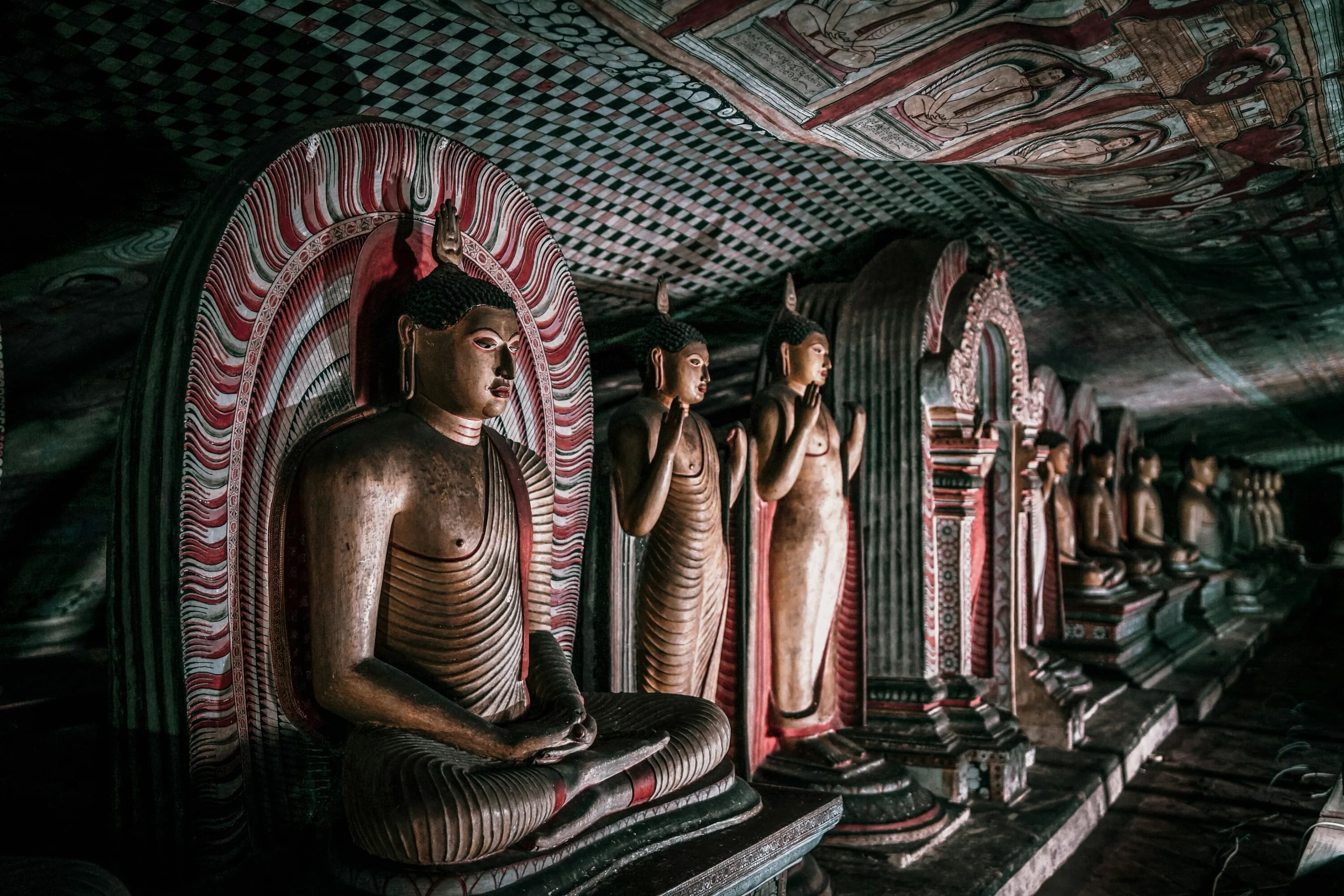 Educational Tours